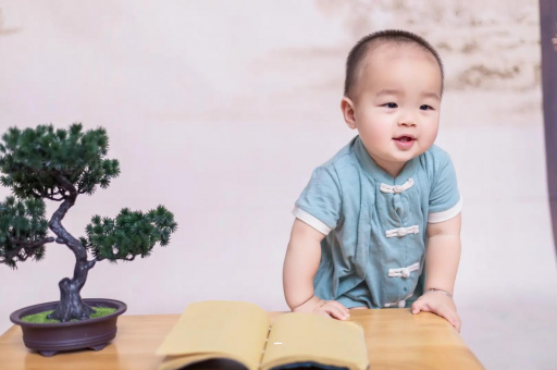 温县可爱的企鹅宝宝